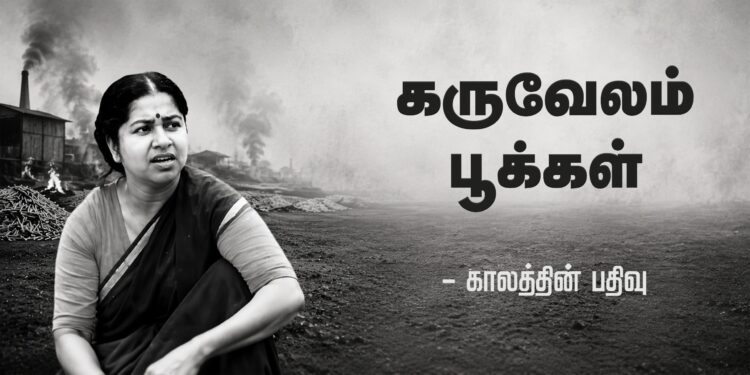  கருவேலம்பூக்கள் – காலத்தின் பதிவு 